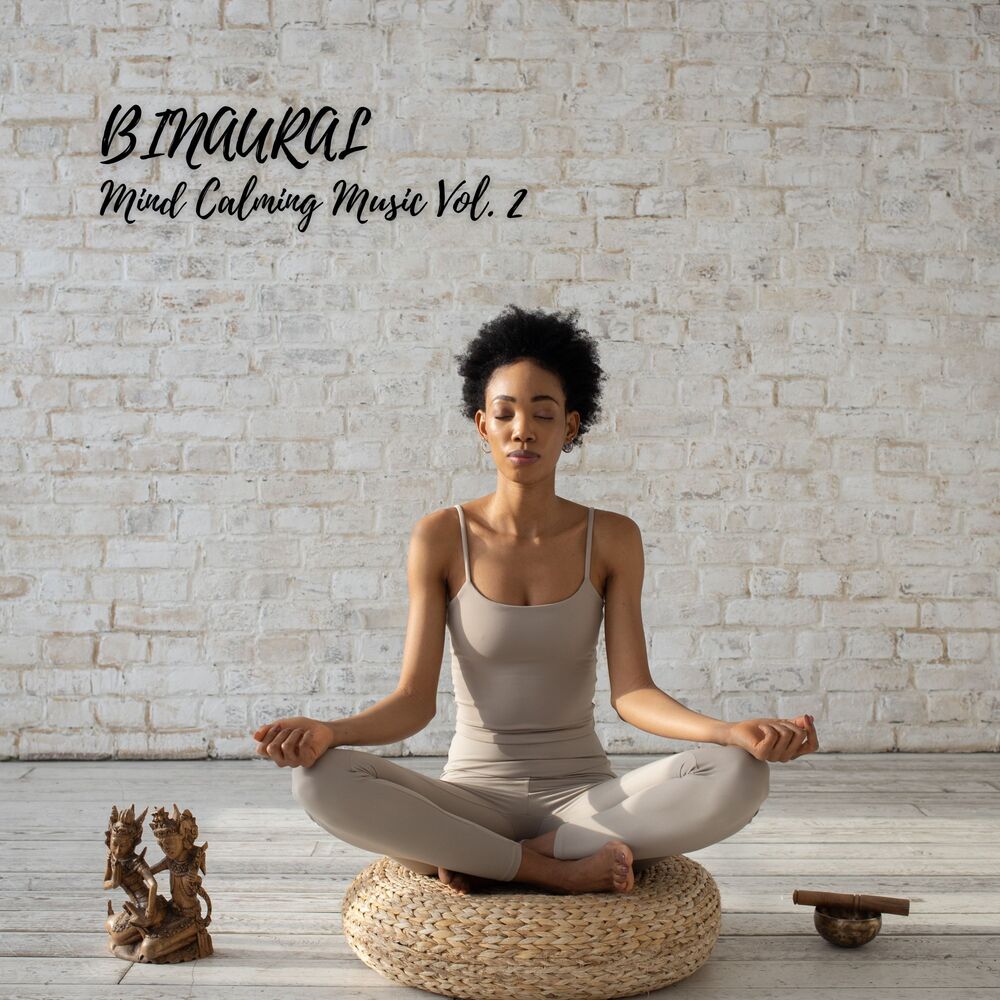 Picture of BINAURAL: Mind Calming Music Vol. 2