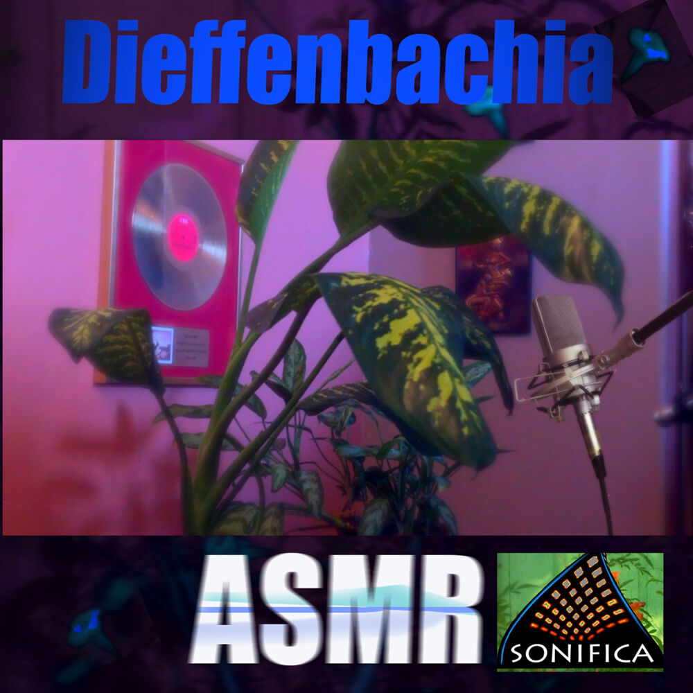 Picture of Diffenbachia Asmr