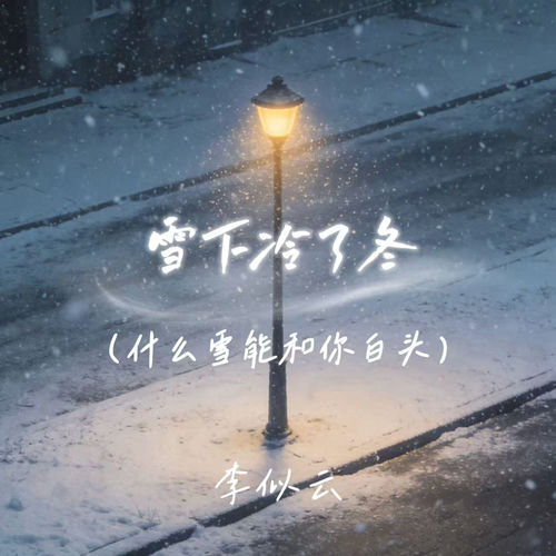 雪下冷了冬 (什么雪能和你白头)