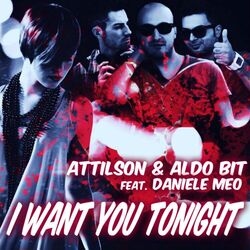 Cover of I Want You Tonight