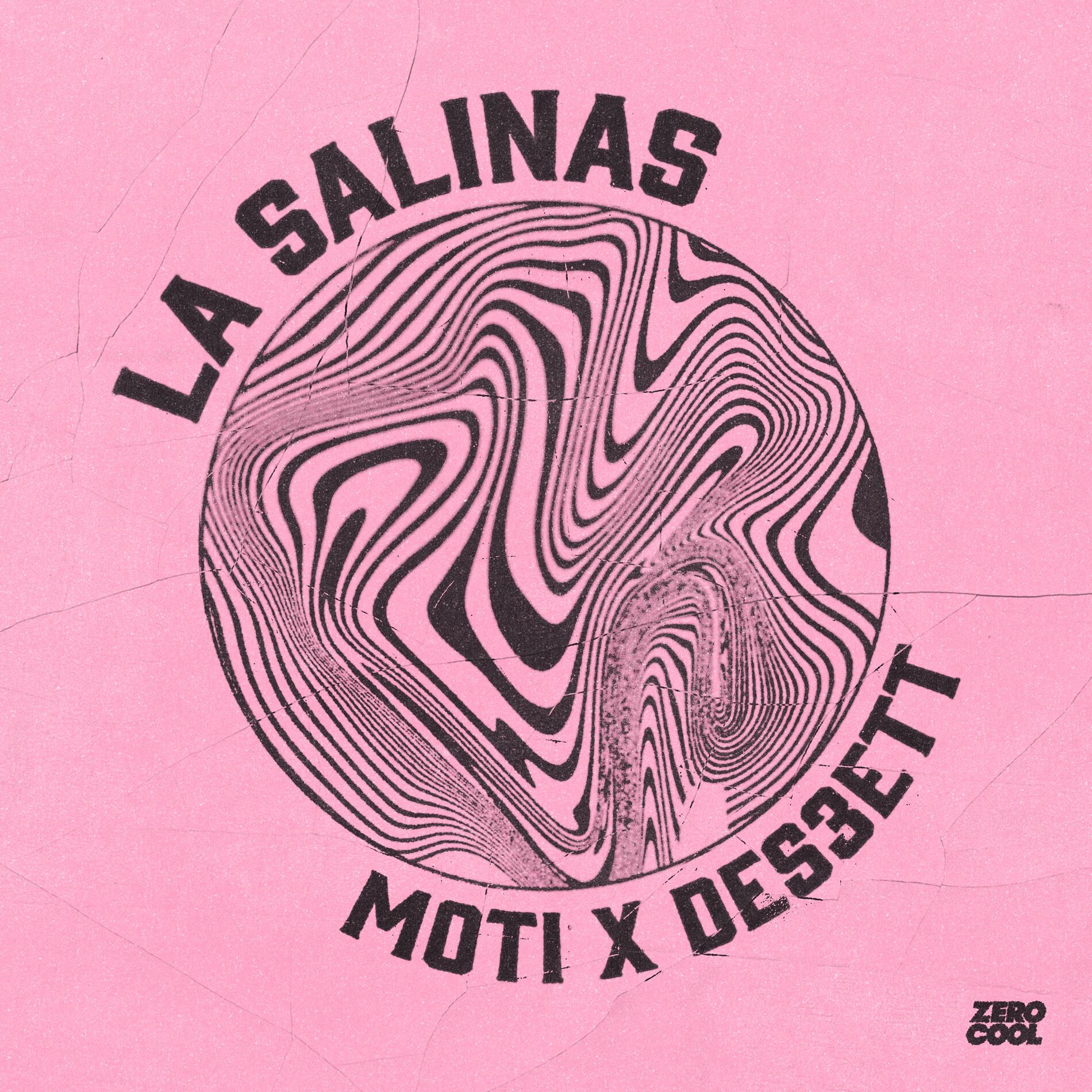 Album cover of La Salinas
