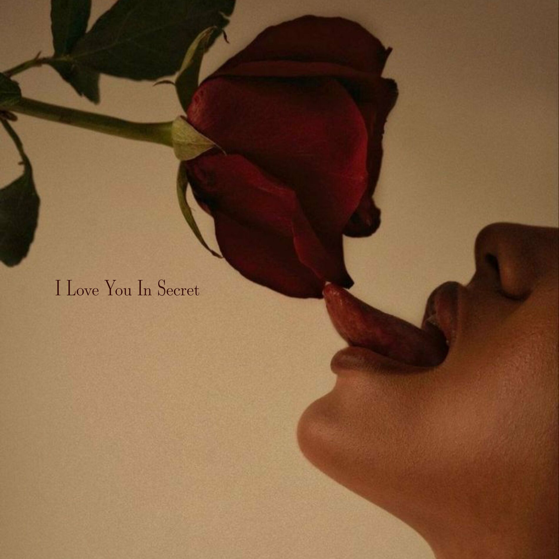 Album cover of I Love You In Secret