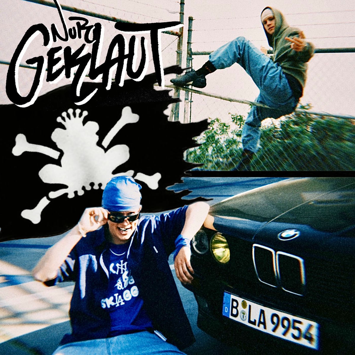 Album cover of Nur geklaut