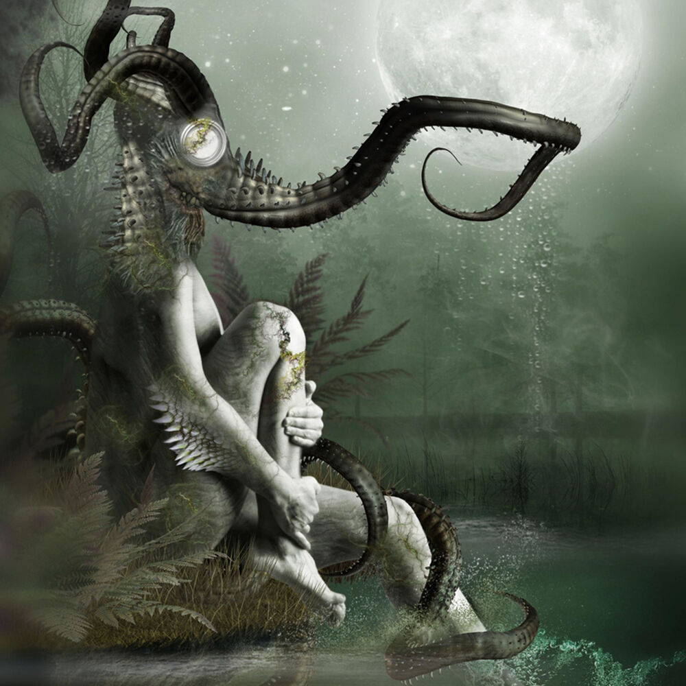 Picture of Salamandra