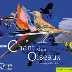 Cover of Le chant des oiseaux, Vol. 1