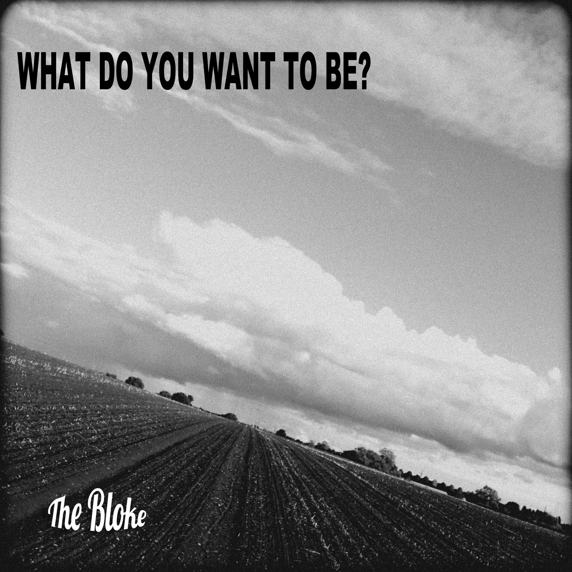 Album cover of What Do You Want to Be?
