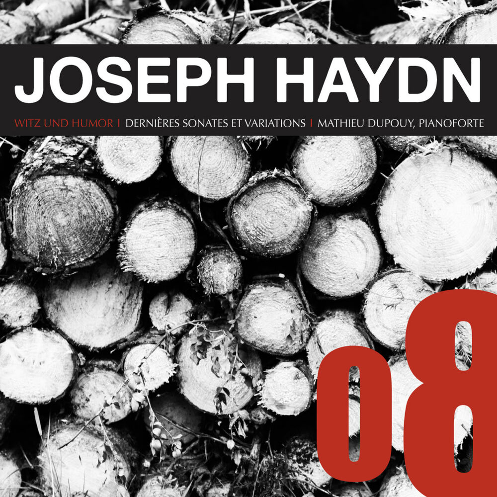 Picture of Haydn: Dernières Sonates et Variations