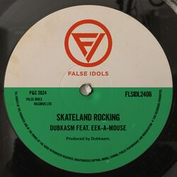 Cover of Skateland Rocking