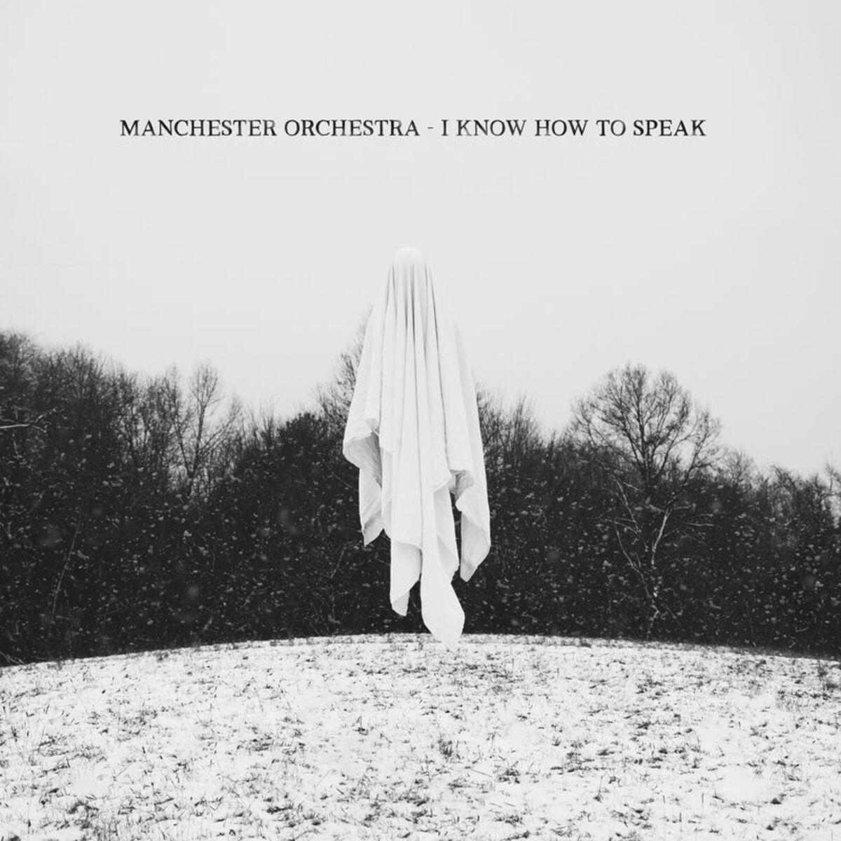 Album cover of I Know How To Speak