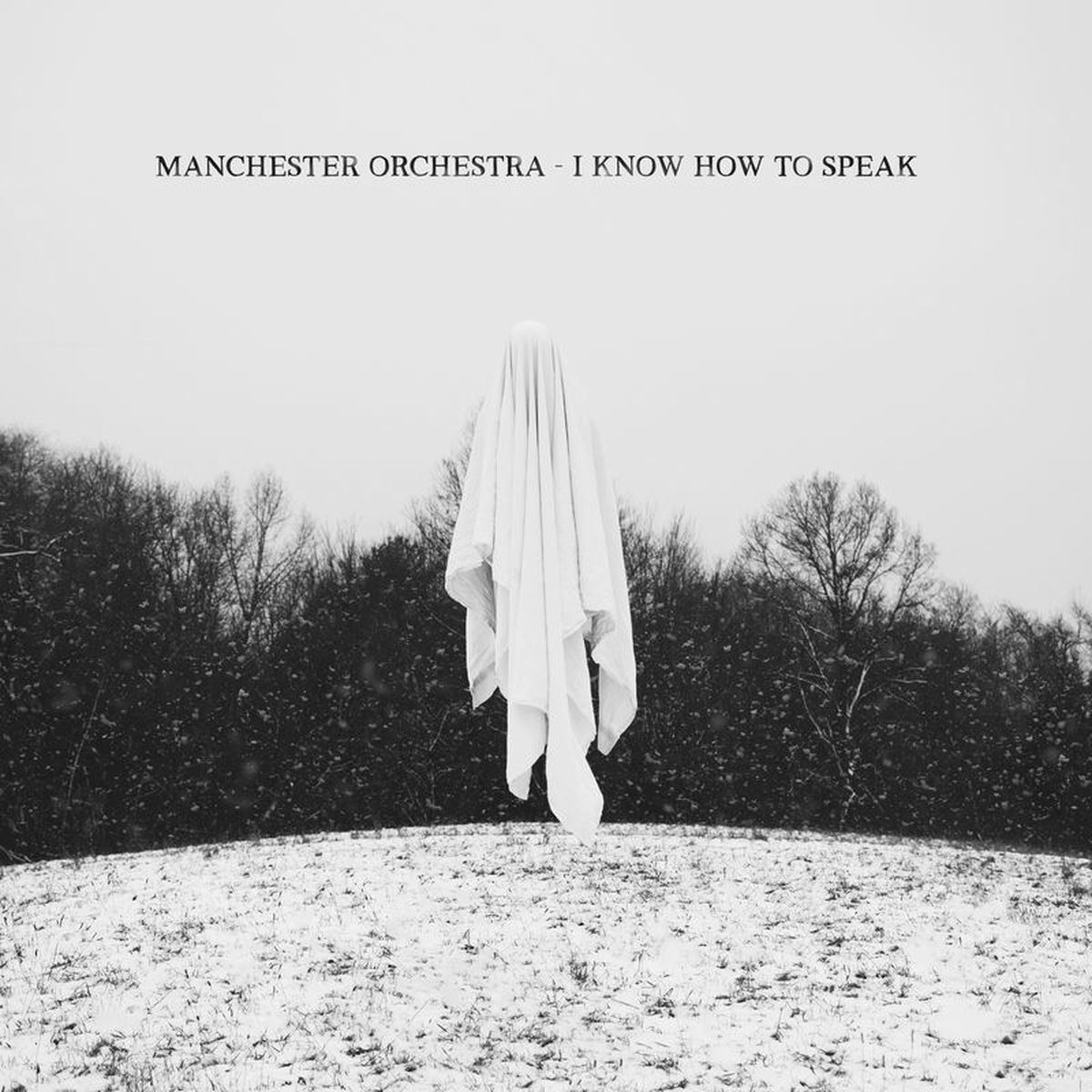 Album picture of I Know How To Speak