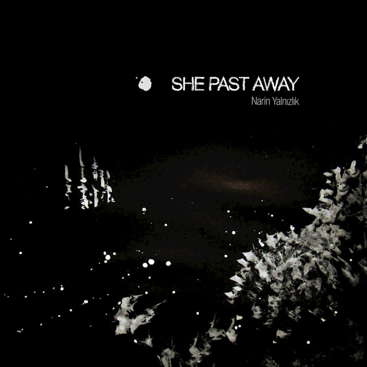 Album cover of Soluk