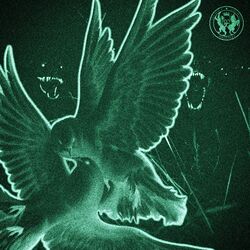 Cover of Animales