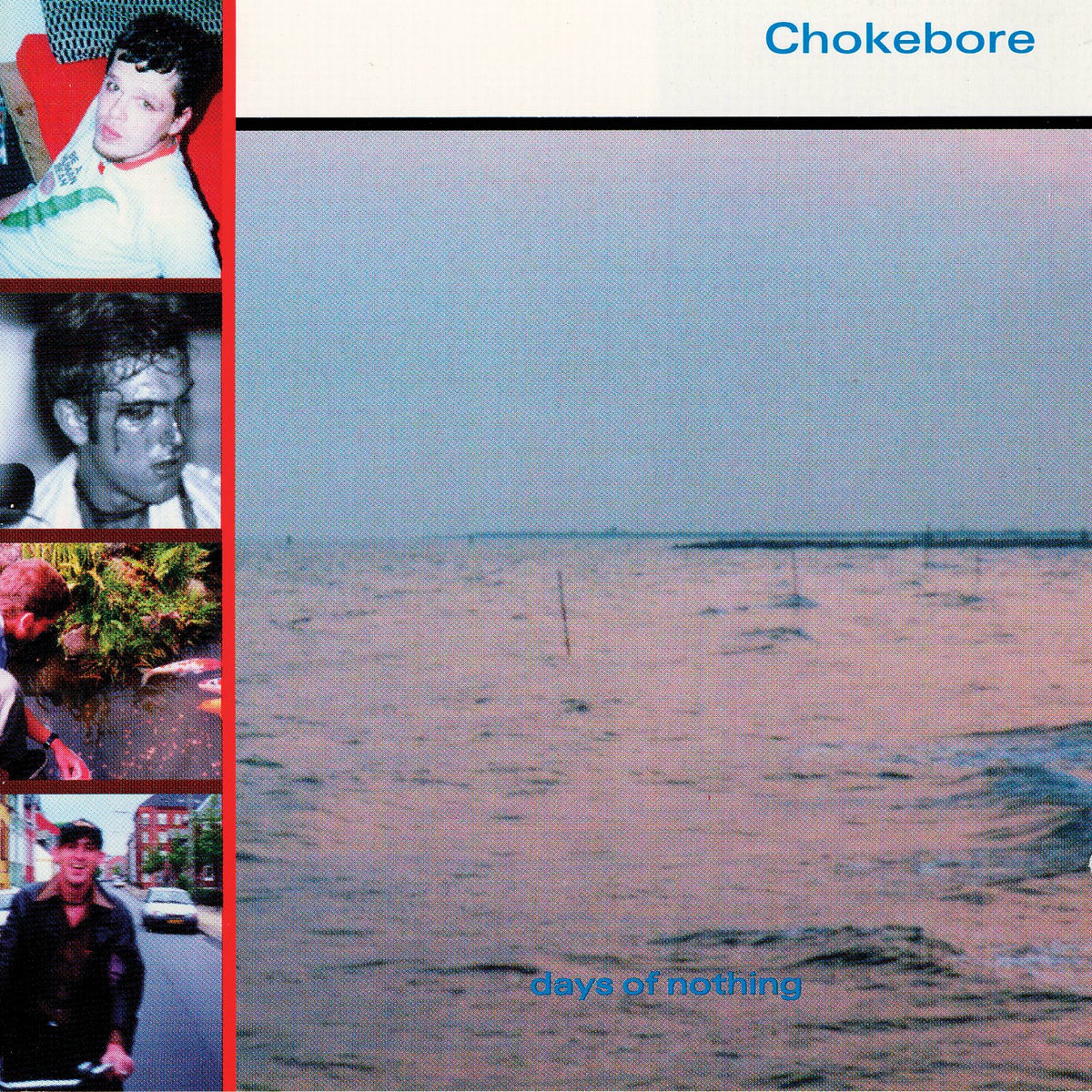 Album cover of Days Of Nothing