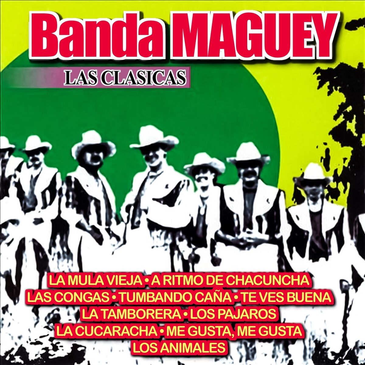 Album cover of Las Clasicas