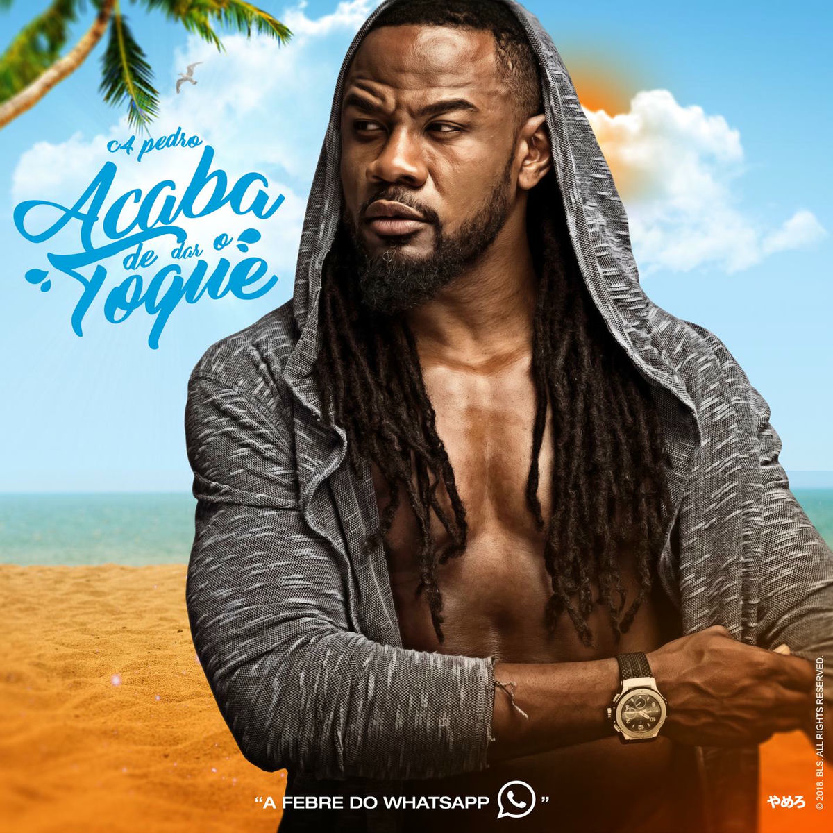 Album cover of Acaba de Dar o Toque