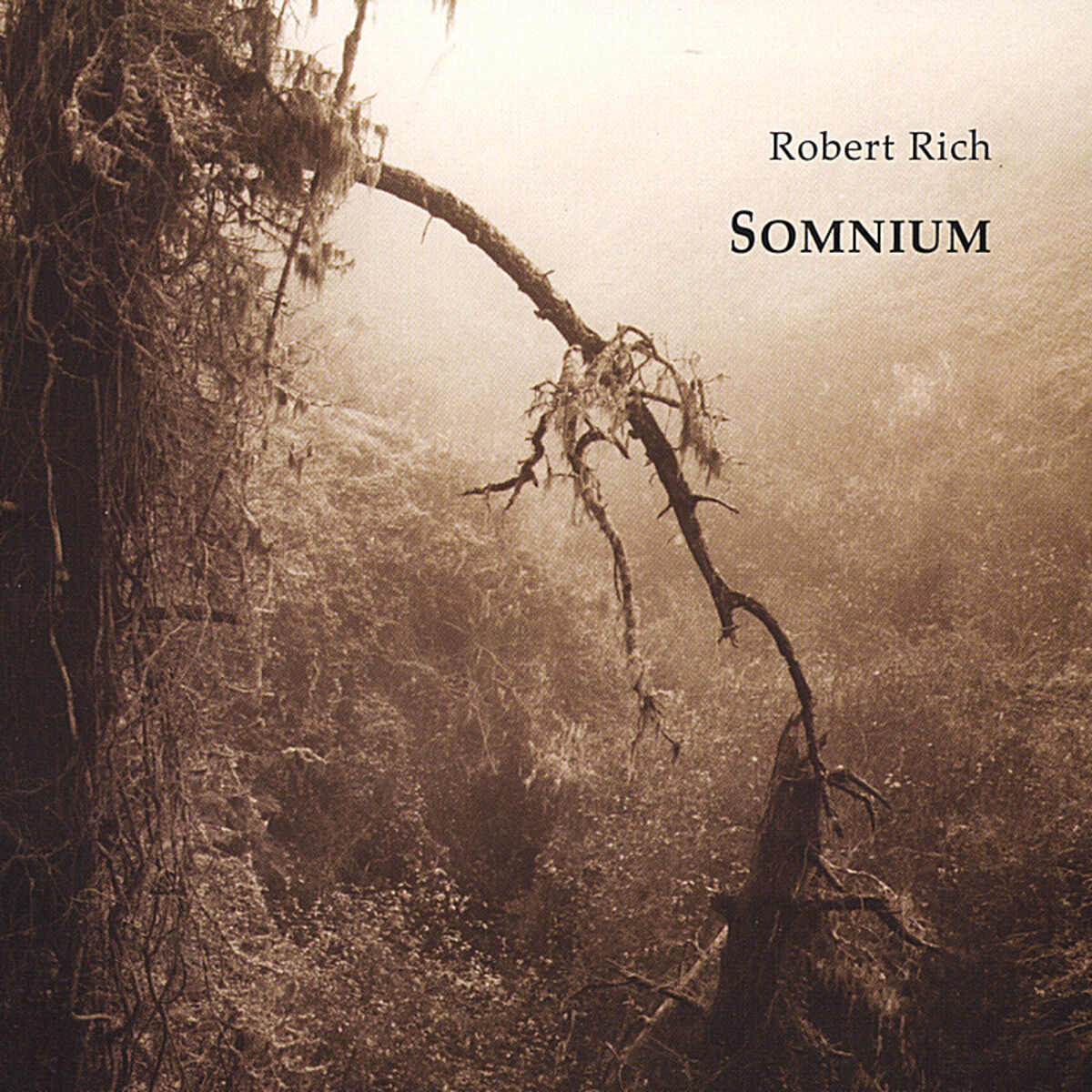 Album cover of Somnium