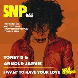 Cover of I Want To Have Your Love