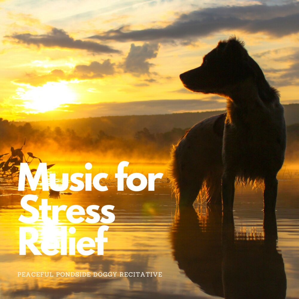 Picture of Music for Stress Relief: Peaceful Pondside Doggy Recitative