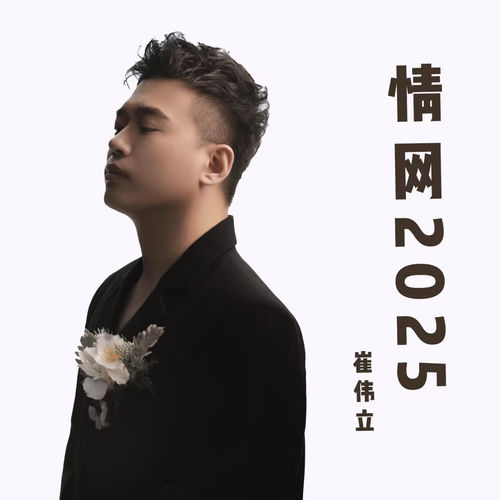 情网2025 (DJ默涵忧郁版)