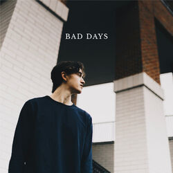 Cover of bad days