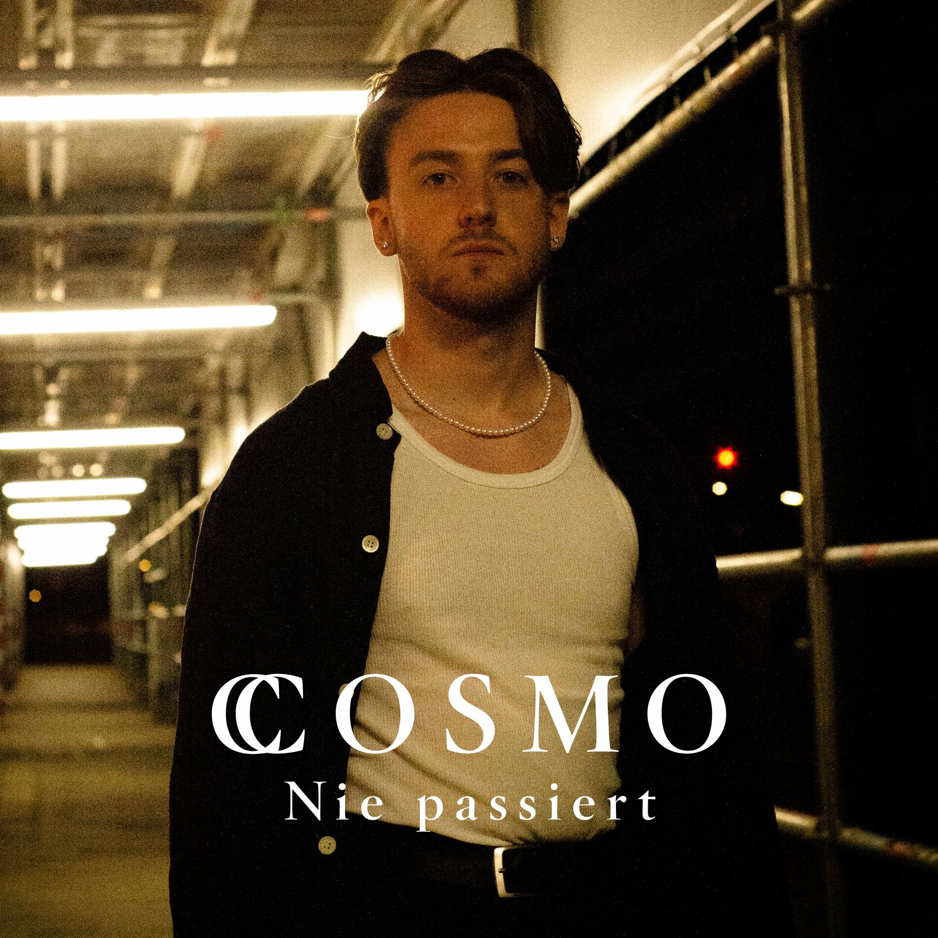 Album cover of Nie passiert