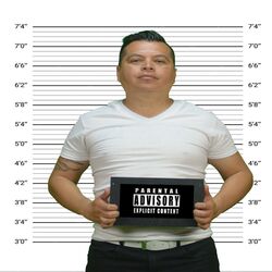 Cover of Pasele sin compromiso