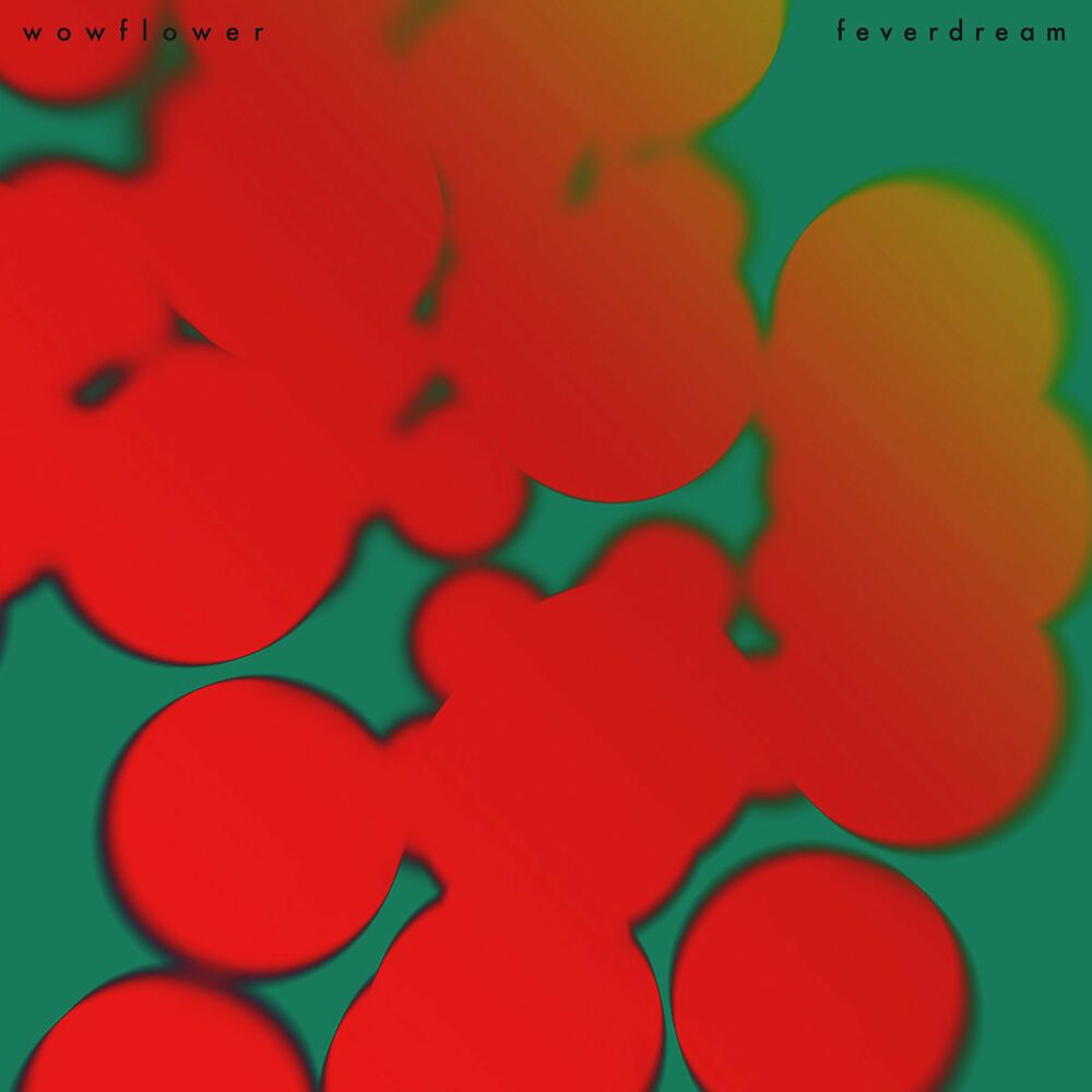 Picture of feverdream