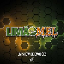 Cover of Um Show de Emoções