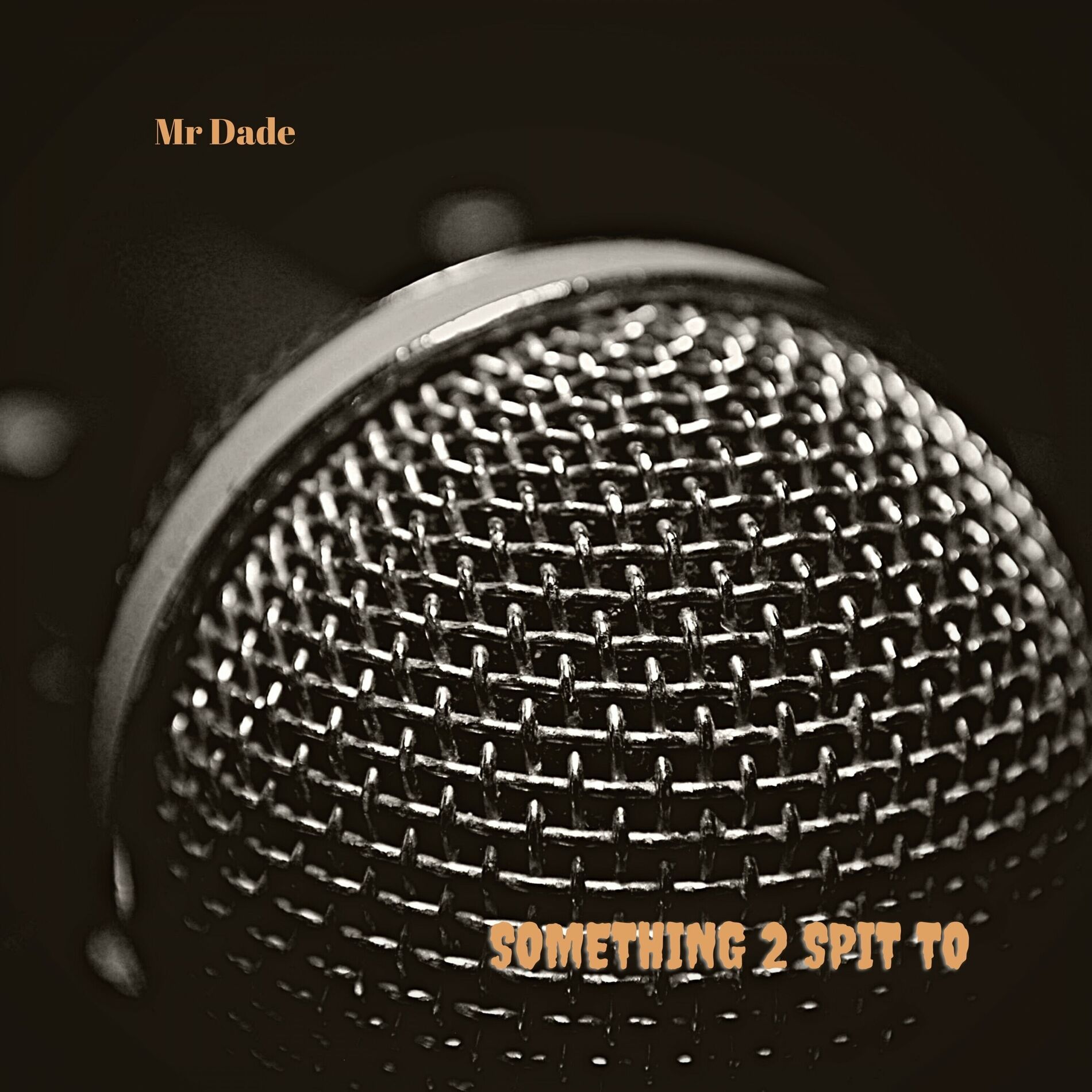 Album cover of Something 2 Spit To
