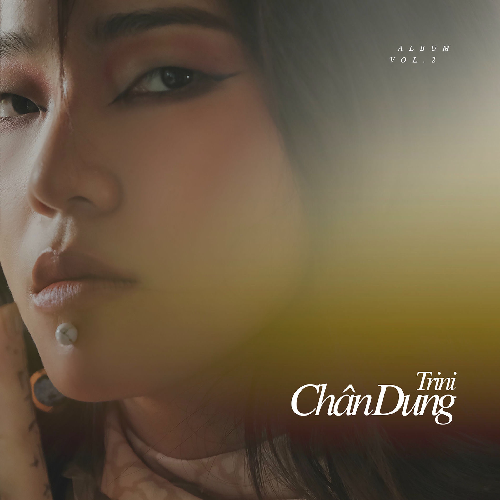 Album cover of Chân Dung