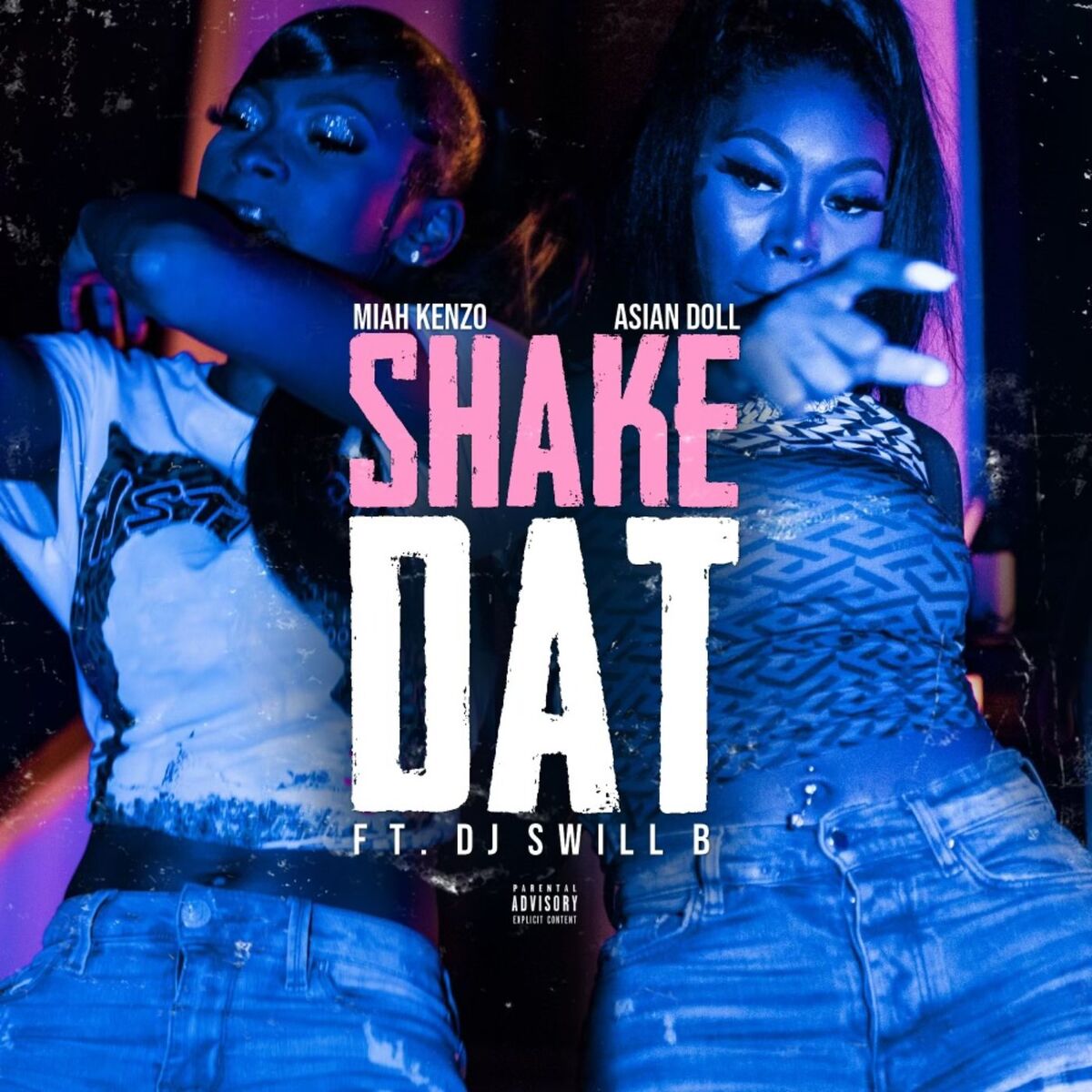 Album cover of Shake Dat