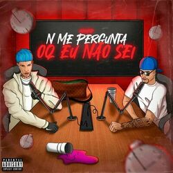 Cover of n me pergunta oq eu não sei