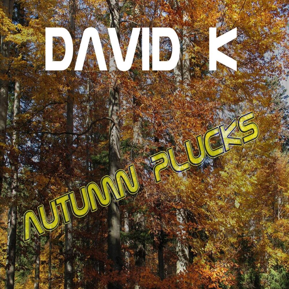 Picture of David K - Autumn Plucks