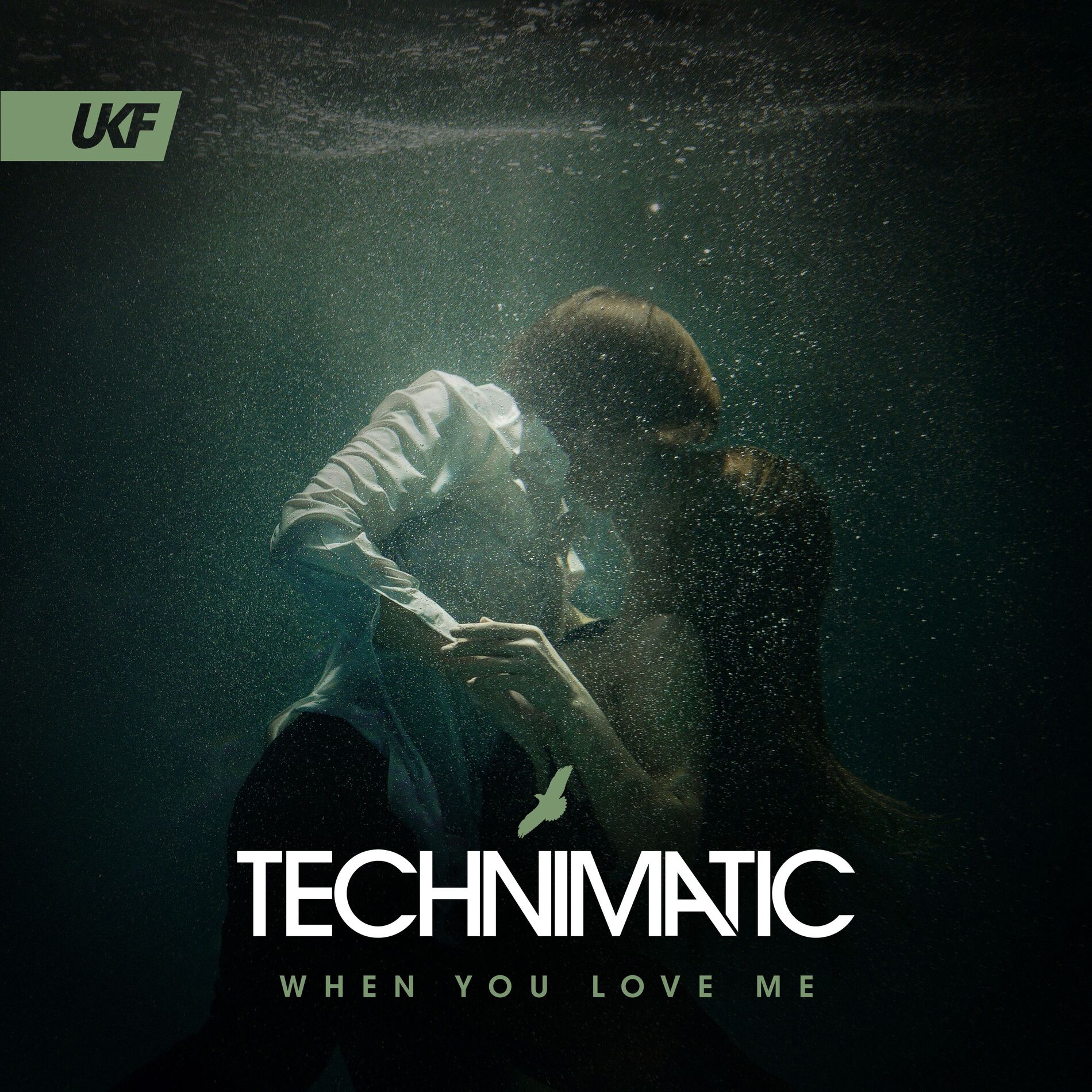 Album cover of When You Love Me