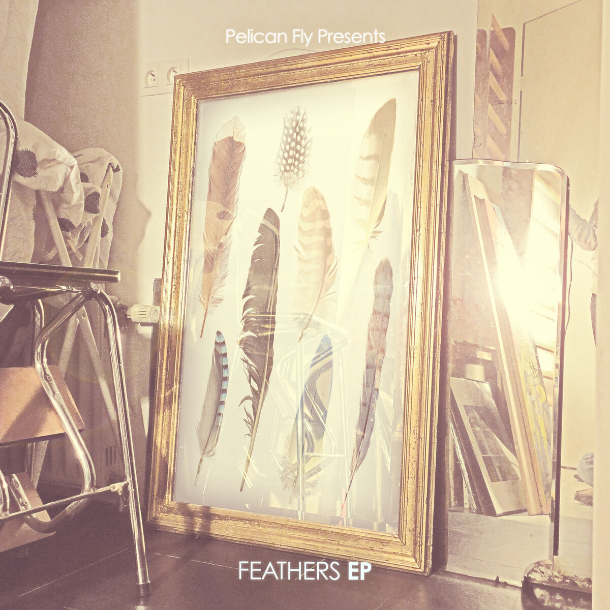 Album cover of Feathers