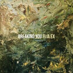 Cover of Breaking You