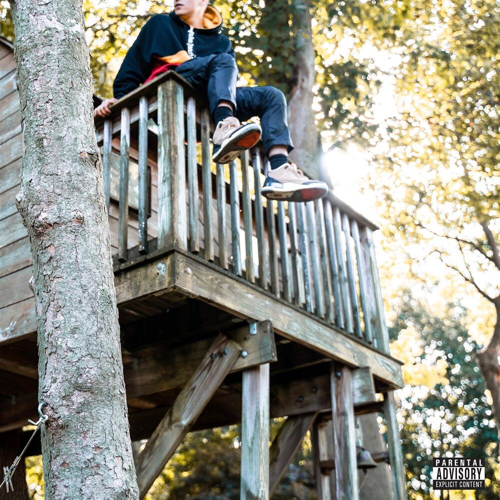 Picture of Treehouse