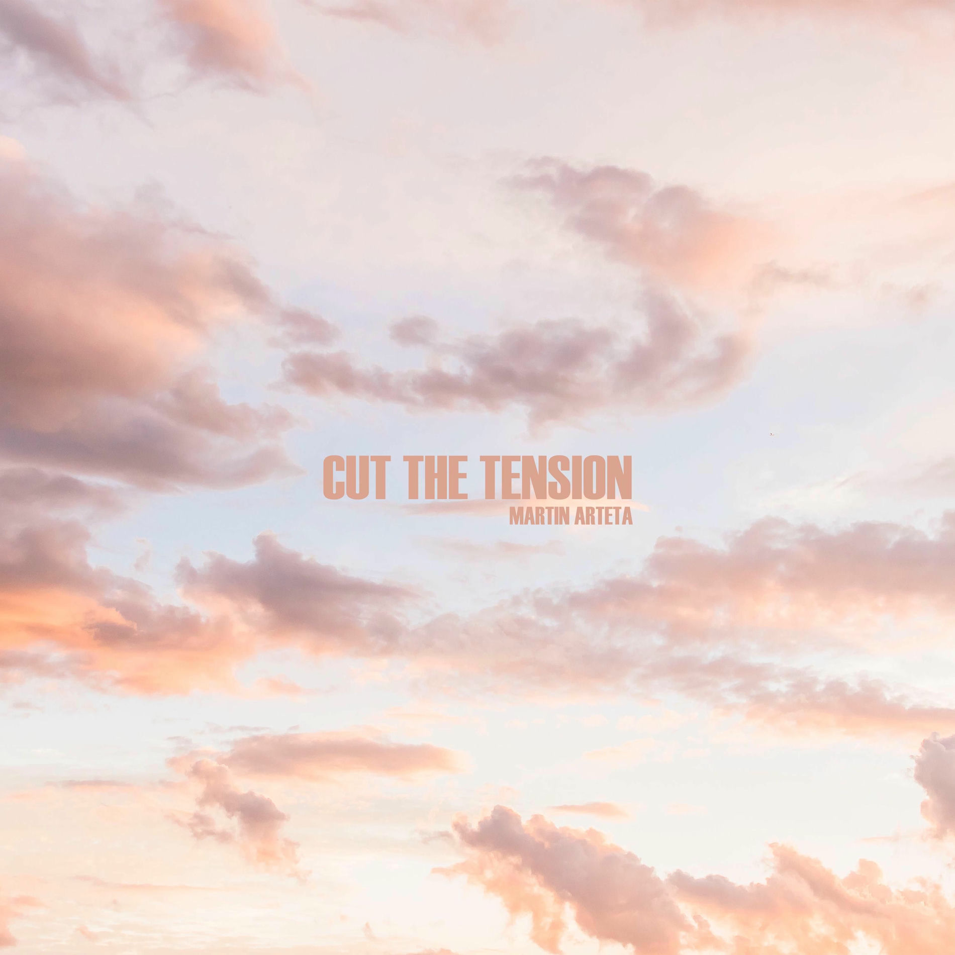 Album cover of cut the tension