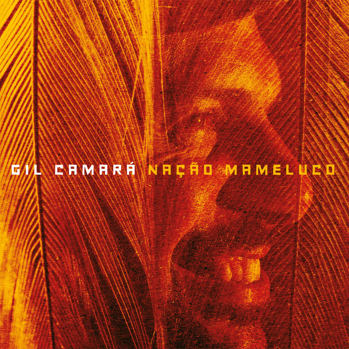 Album cover of Balanço do Luiz