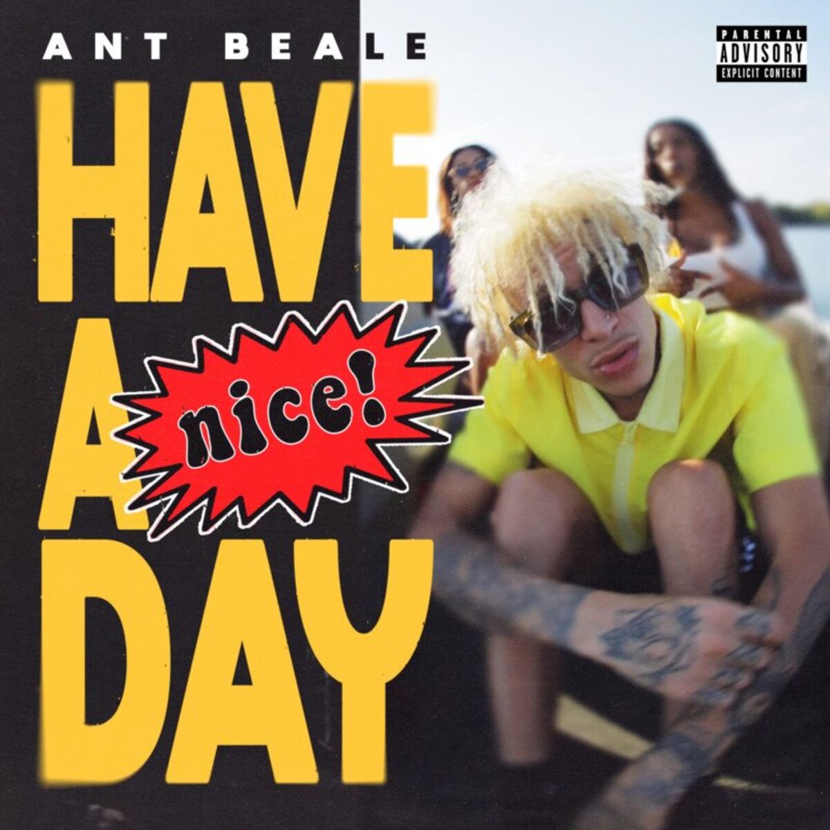 Album cover of Have a Nice Day