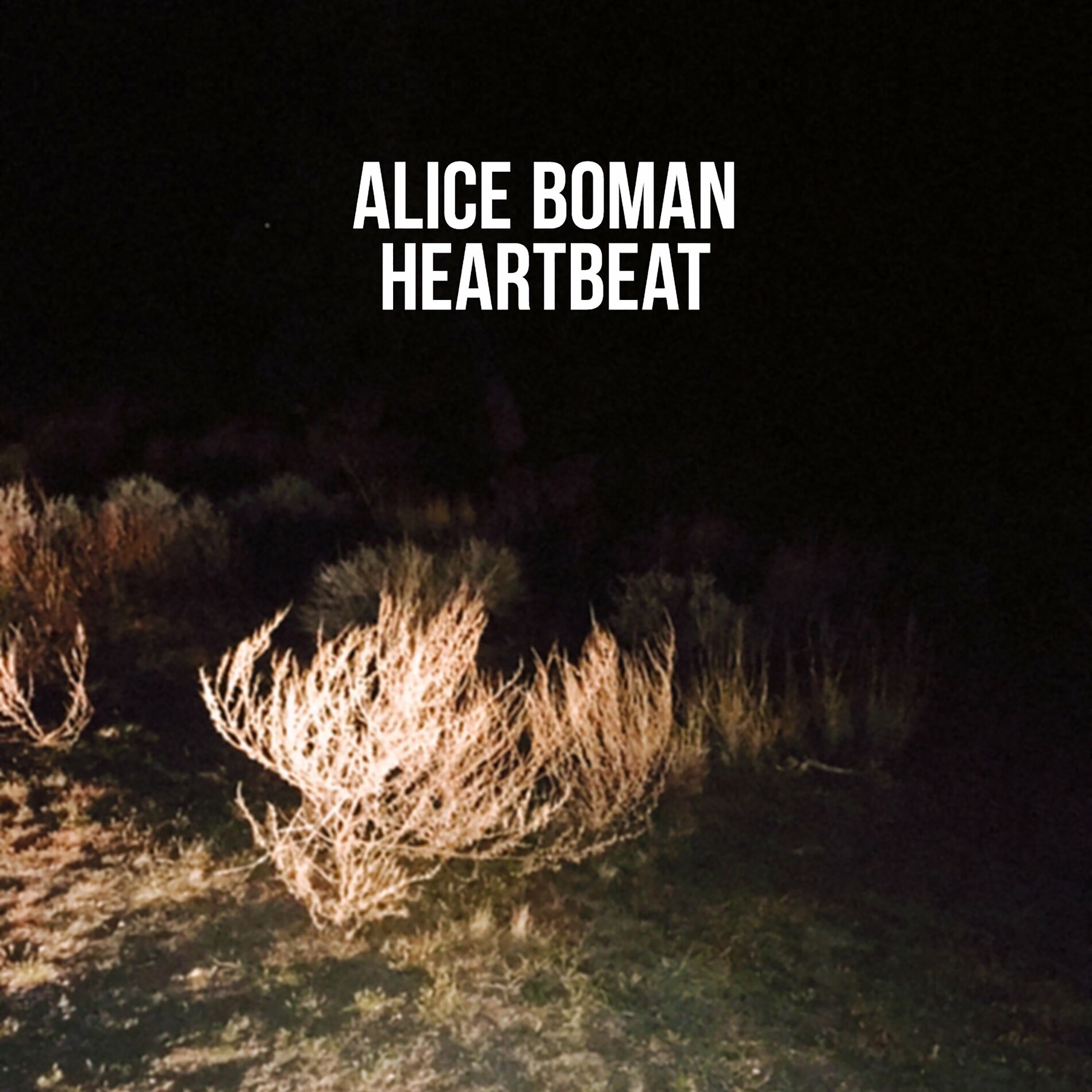 Album cover of Heartbeat