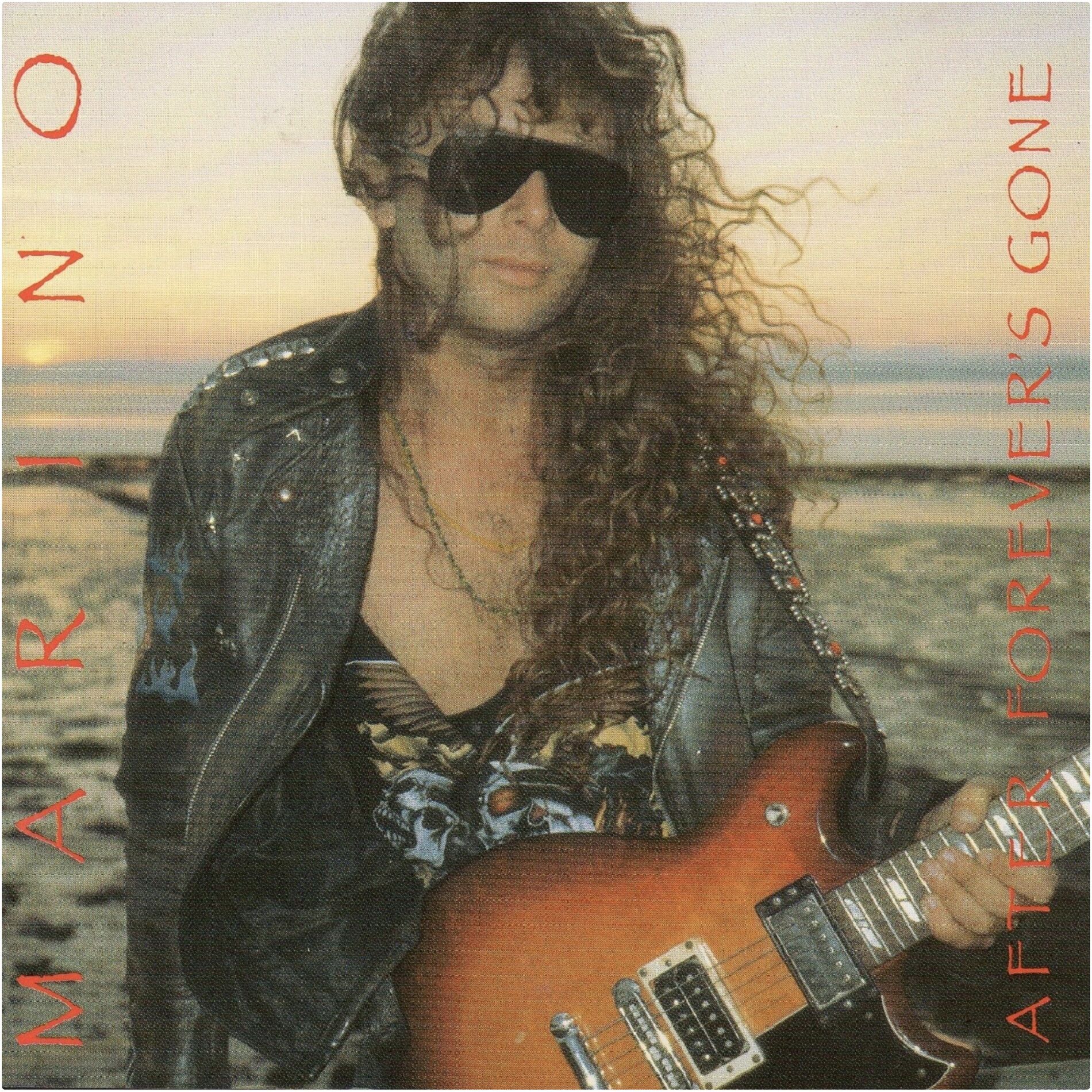 Album cover of After Forever's Gone