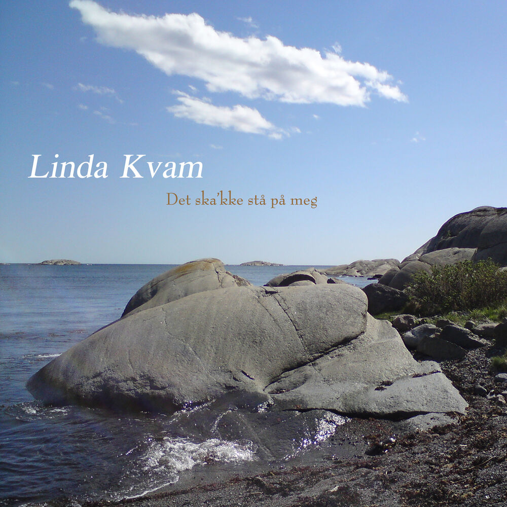 Picture of Det Ska'kke Stå På Meg (Single)