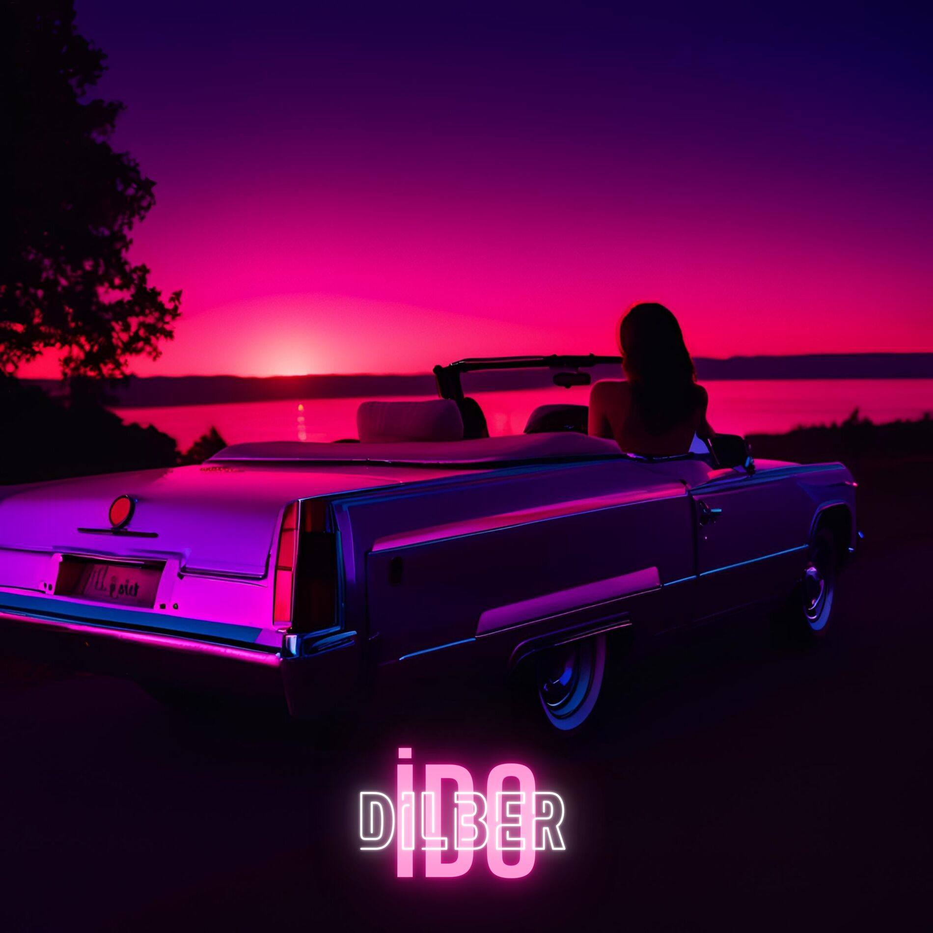 Album cover of Dilber