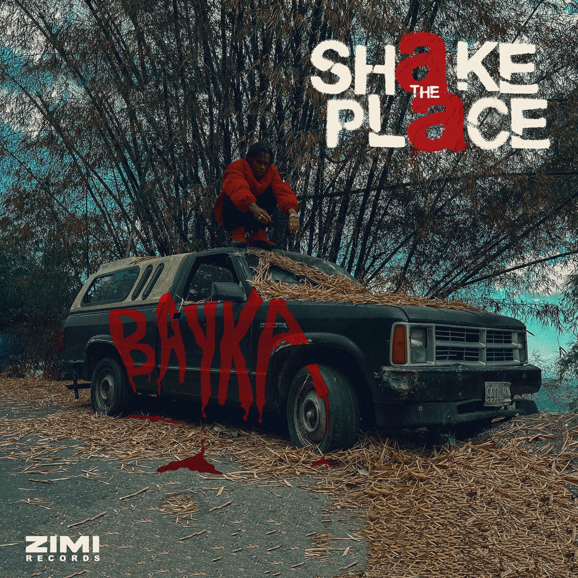 Album cover of Shake the Place