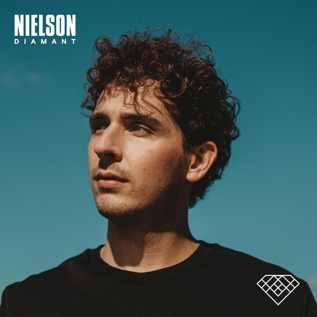 Album cover of Diamant