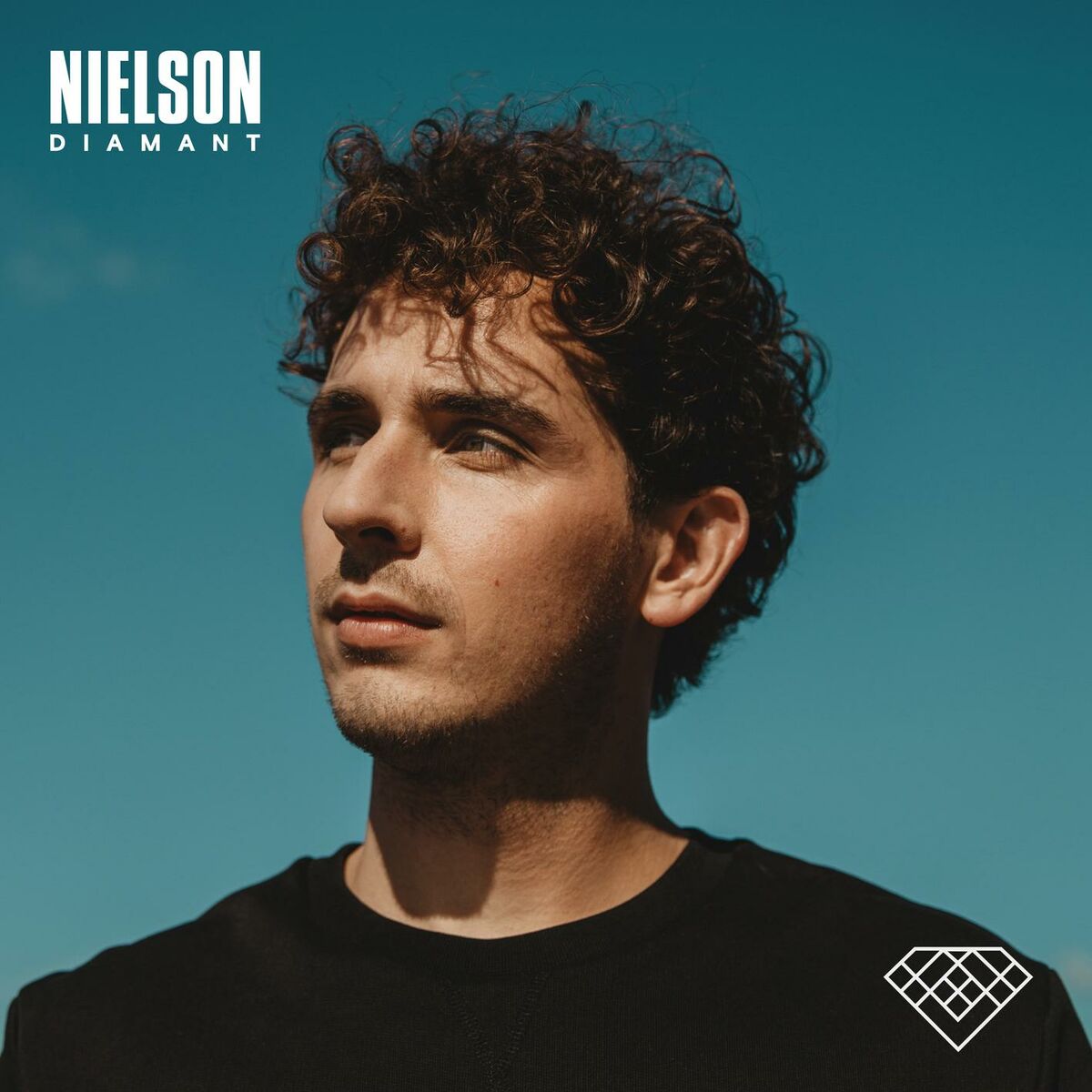 Album cover of Diamant