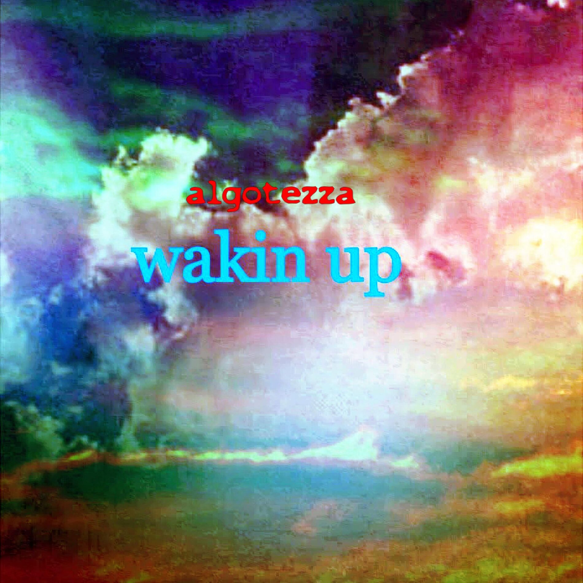 Album cover of Wakin Up
