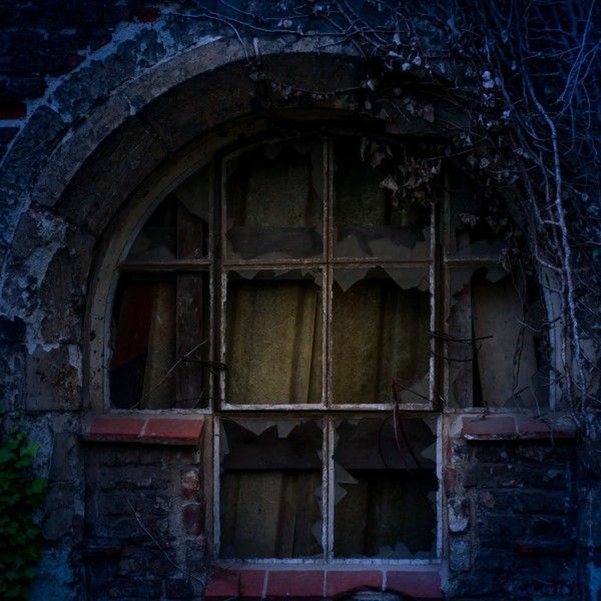 Album cover of Cicatrices
