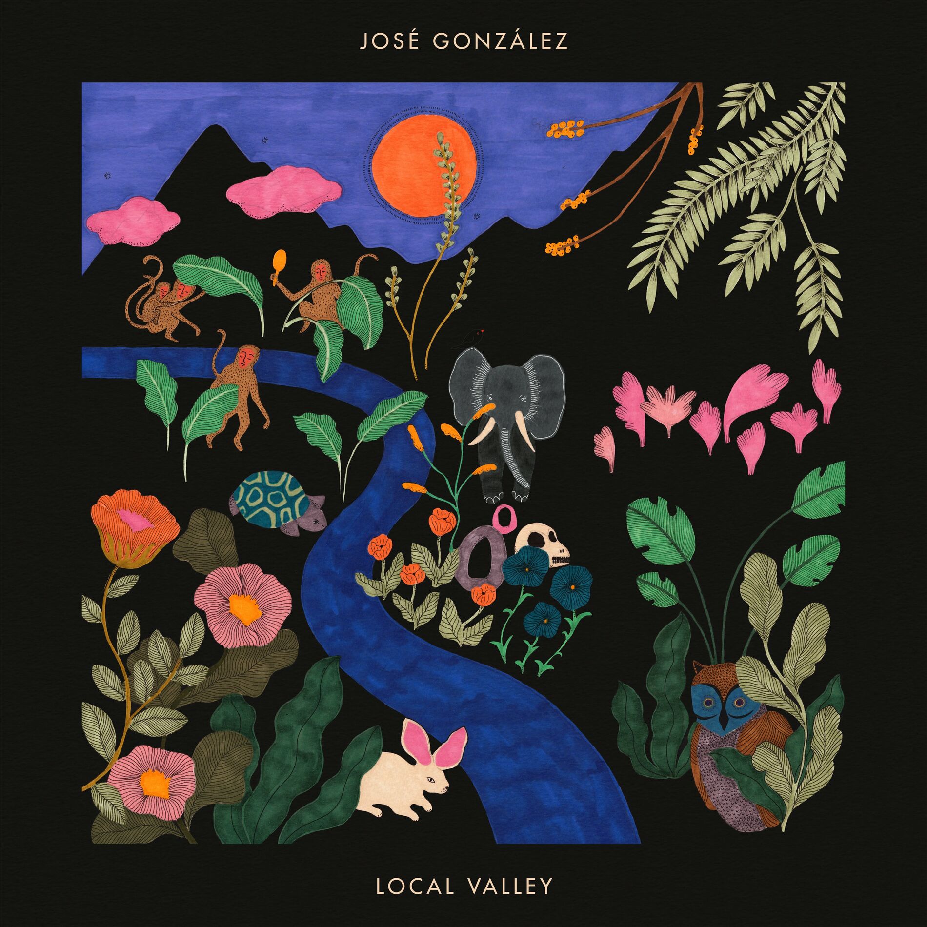 Album cover of Local Valley